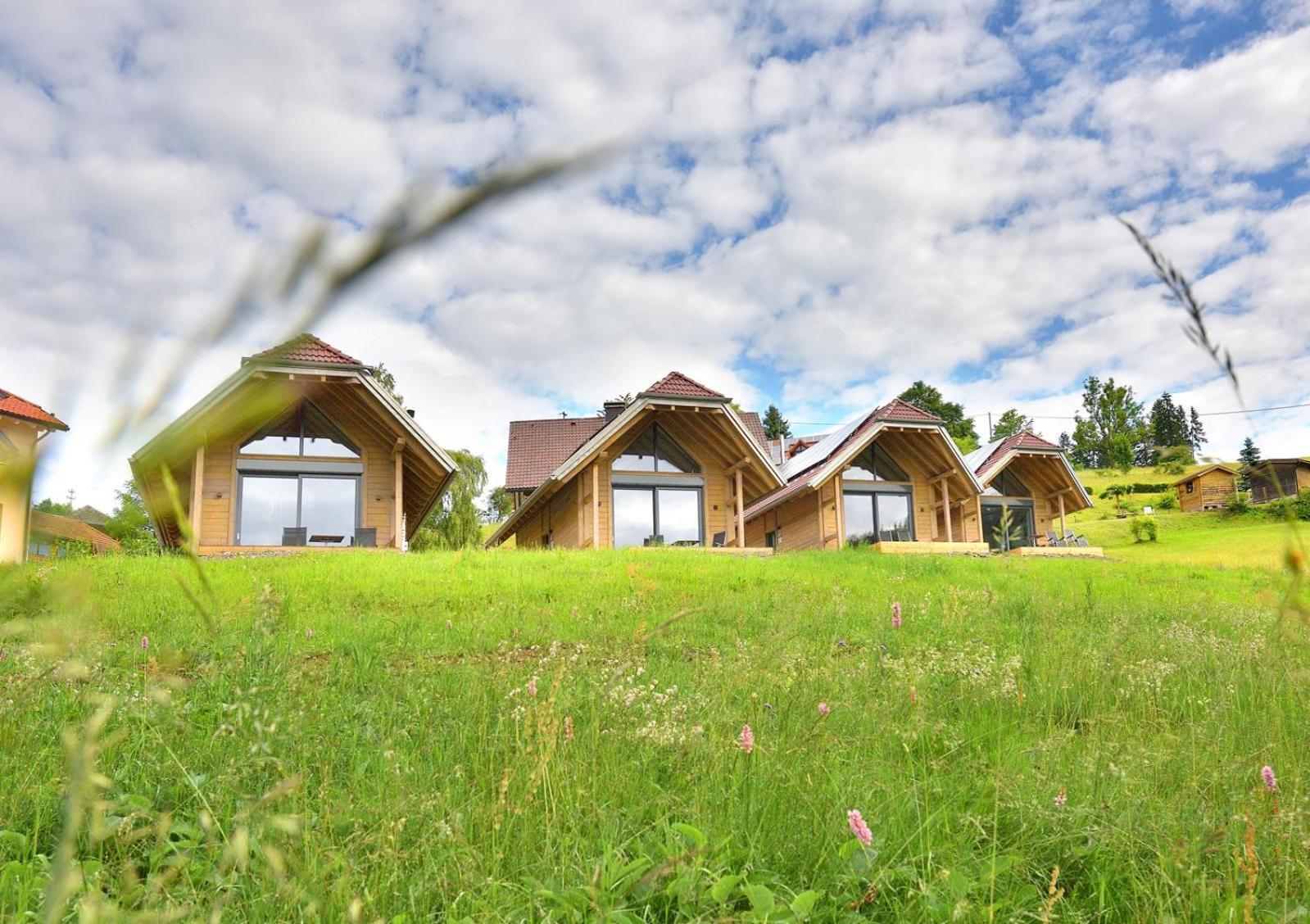 Chalets Am Roessle ทอดท์โมส ภายนอก รูปภาพ